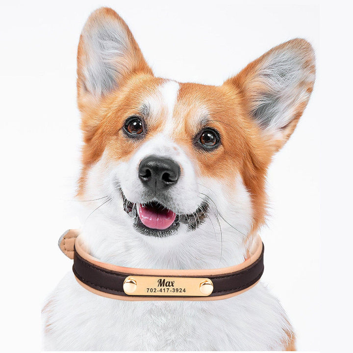 Personalized Leather Dog Collar